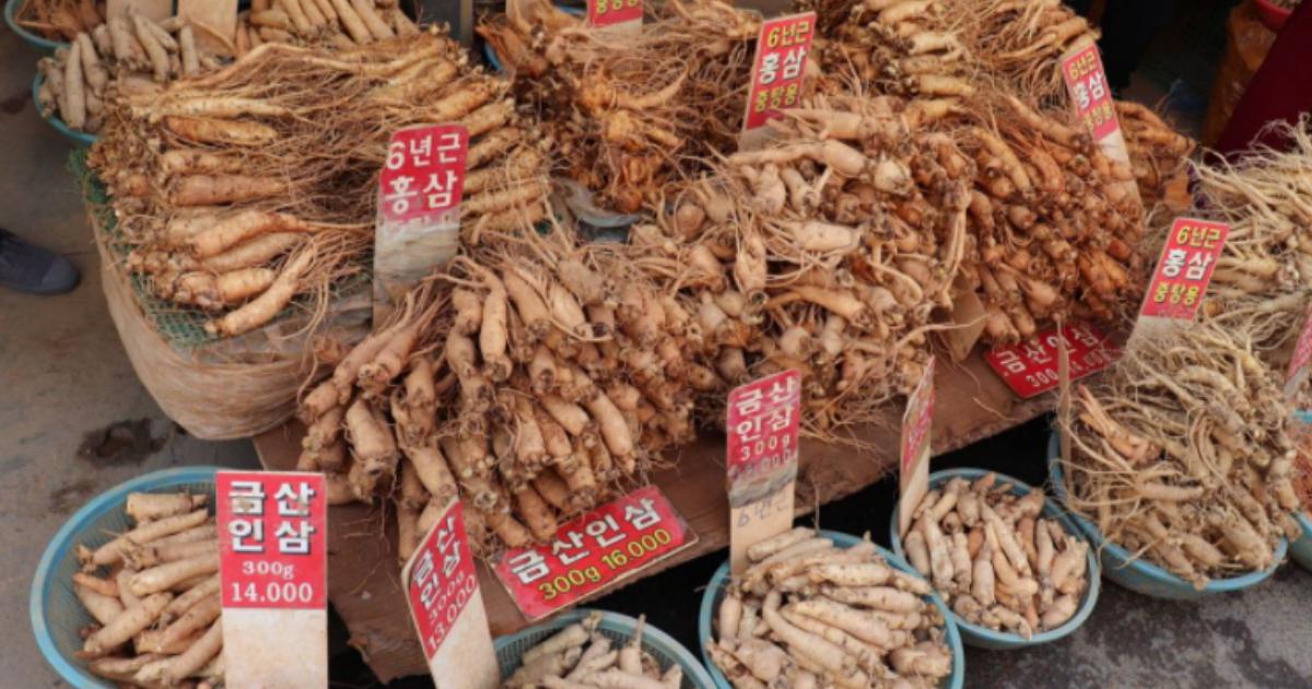 韓国ショッピング | 興遠朝鮮人参店