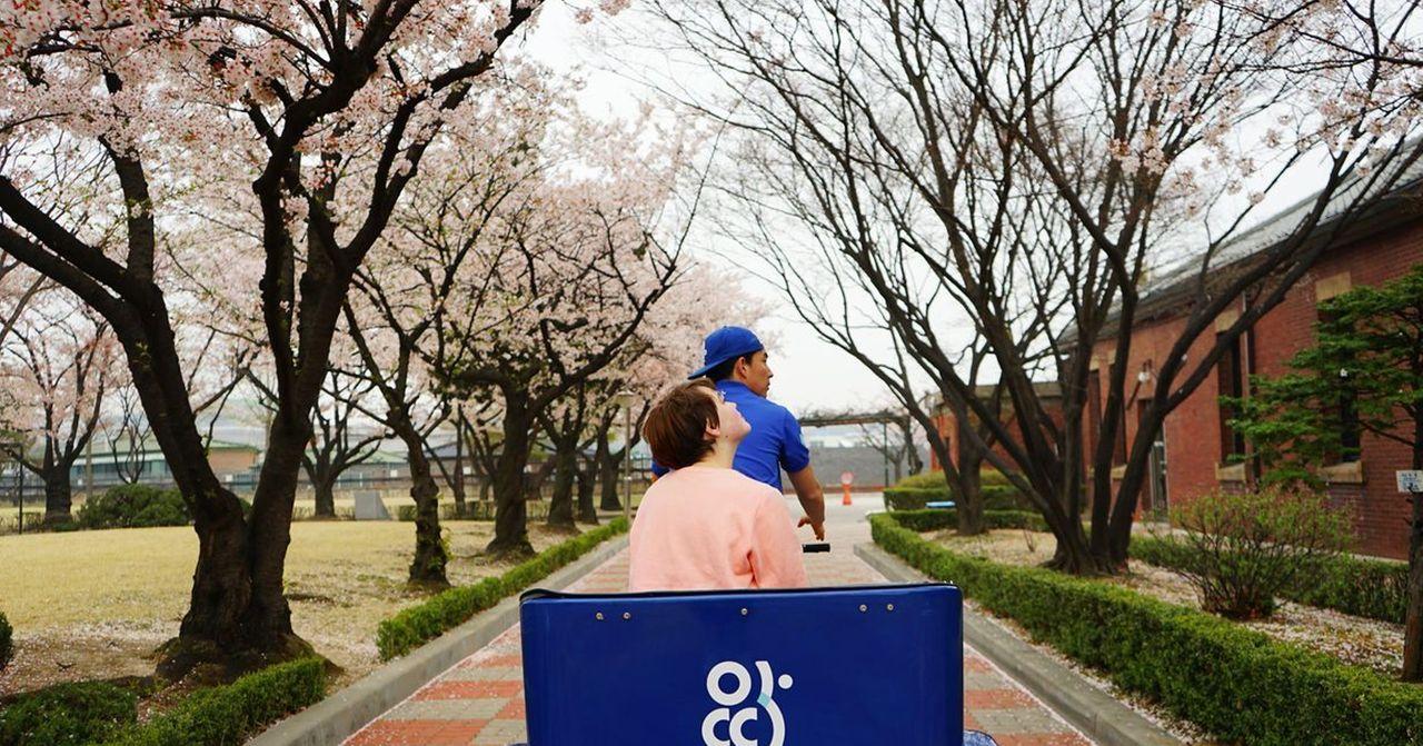 ภาพฅ่าขณะที่คนในชุดฮันบกเดินเป็นฉากหลังของพระราชวังโบราณ