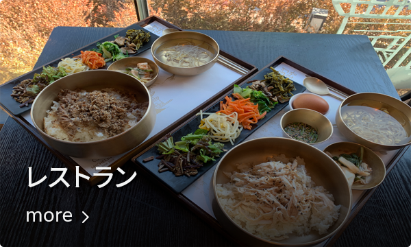 ソウル明洞の有名な観光スポット、明洞聖堂の外観が美しい昼間の光景