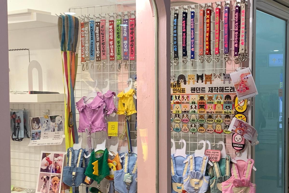 pet accessories store at Seomyeon underground shopping center.