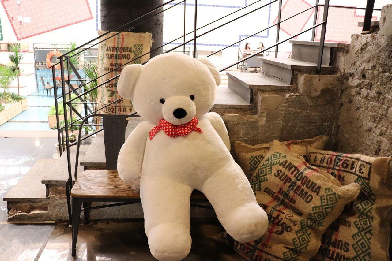 Zulgaha жирэмсэнйигар, хириний хөлөг байдал, засварлаг.