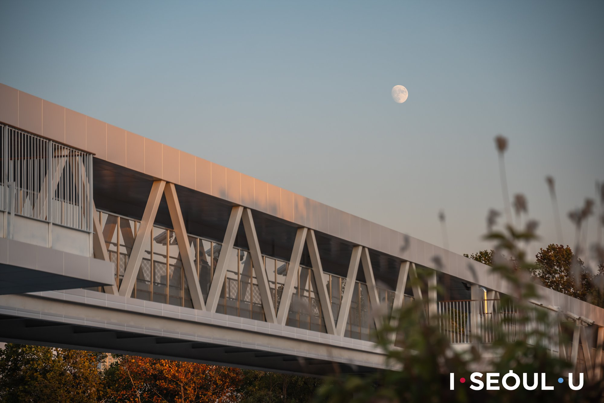 달풍경과 노들섬의 새로운 다리 디자인 대만어: 月亮與鸚賛島的新橋的設計