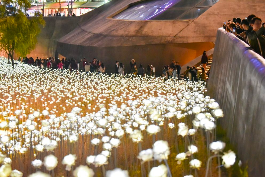 首尔东大门设计广场的LED玫瑰花海，近景显示无数发光的LED玫瑰，背景是许多游客欣赏这个夜景。