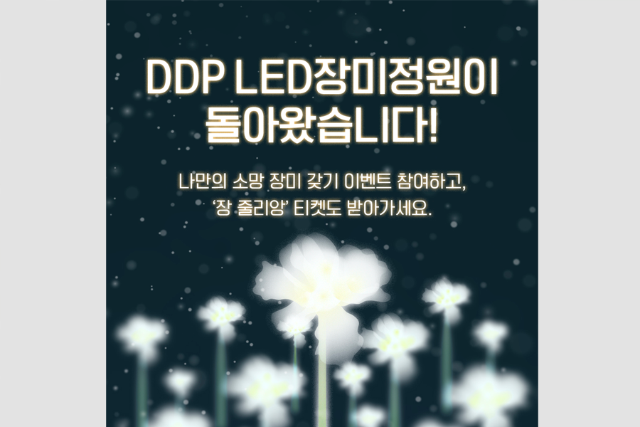 东大门设计广场DDP LED玫瑰庭园的宣传图片，以发光的LED玫瑰为背景，宣传活动和门票信息以韩文展示。