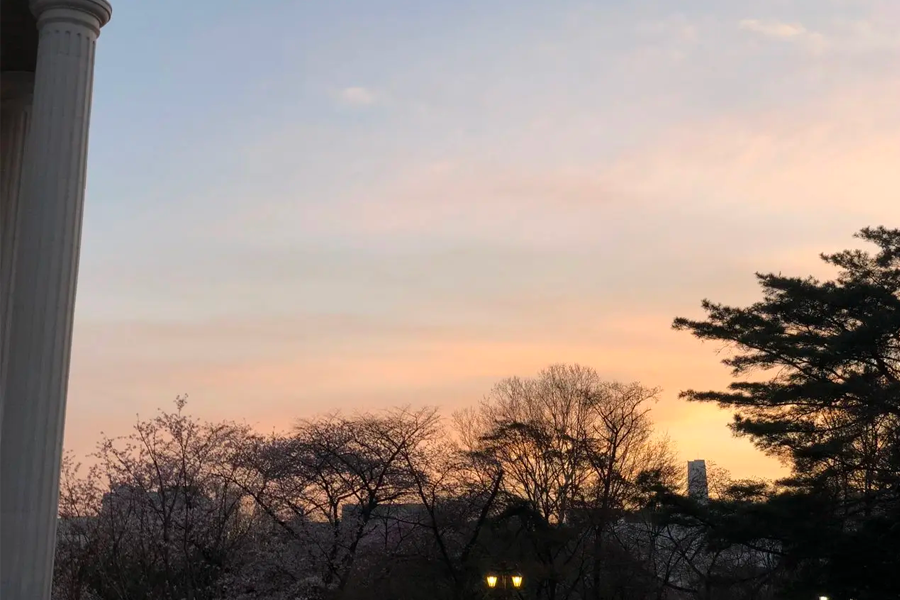 慶熙大學的現代建築群，鶴立於遍地春意濃的校園