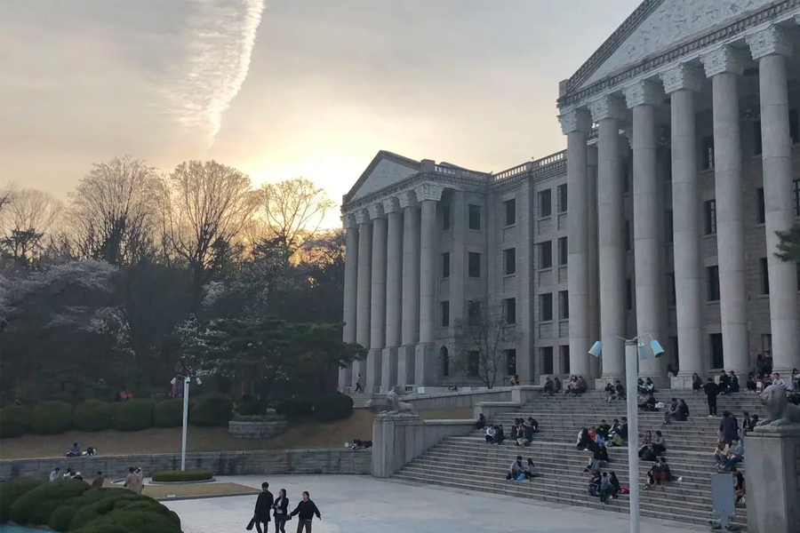 首爾 慶熙大學 賞櫻 2025