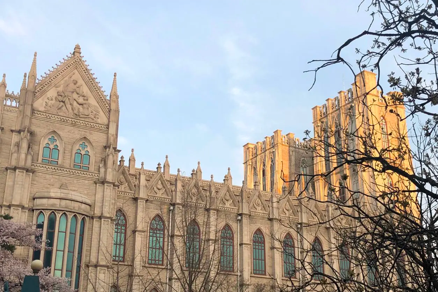 首爾 慶熙大學 賞櫻 2025