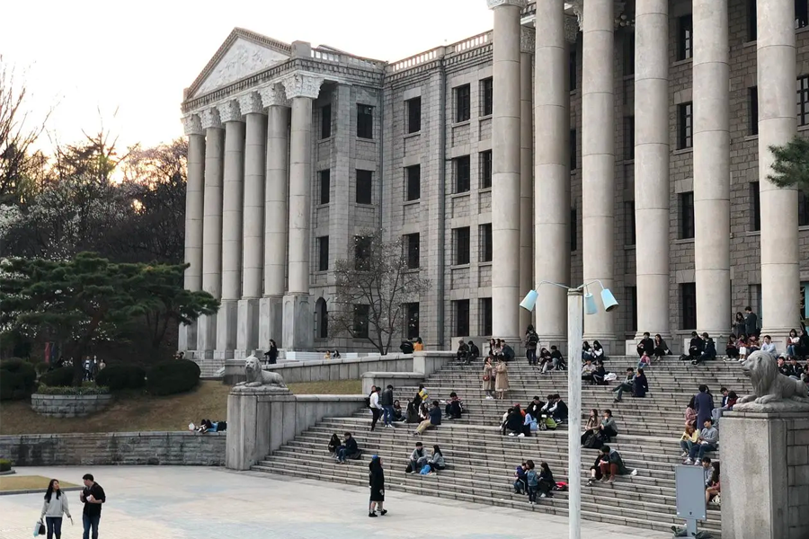 首爾 慶熙大學 賞櫻 2025