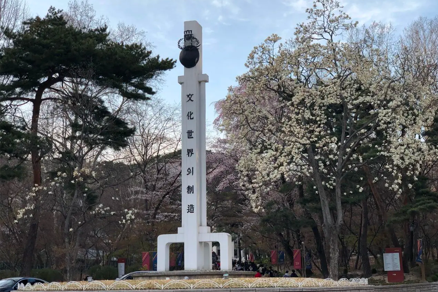 位於慶熙大學圓環處櫻花滿開的景色，搭配校園標誌的高白色建築柱子