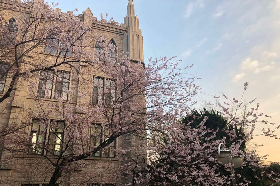 沐浴在日光下的慶熙大學建築群，顯示出宏偉且典雅的建築特色