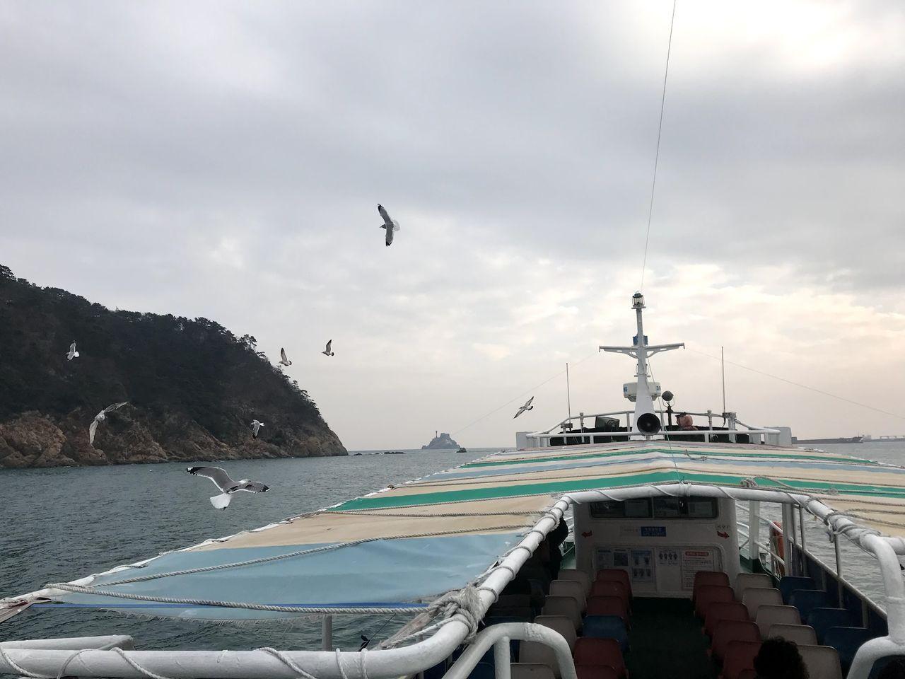 从船上看到的釜山海岸景色，海鸟在船周围飞翔，天气阴云密布。