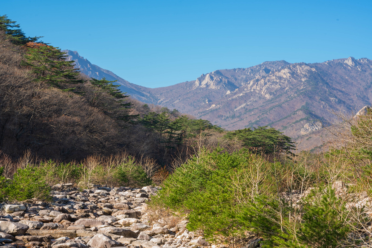韓国、韓国旅行、韓国観光、韓国地方旅行、南怡島、ナミソム、雪岳山、ソラクサン、韓国登山、ドラマロケ地