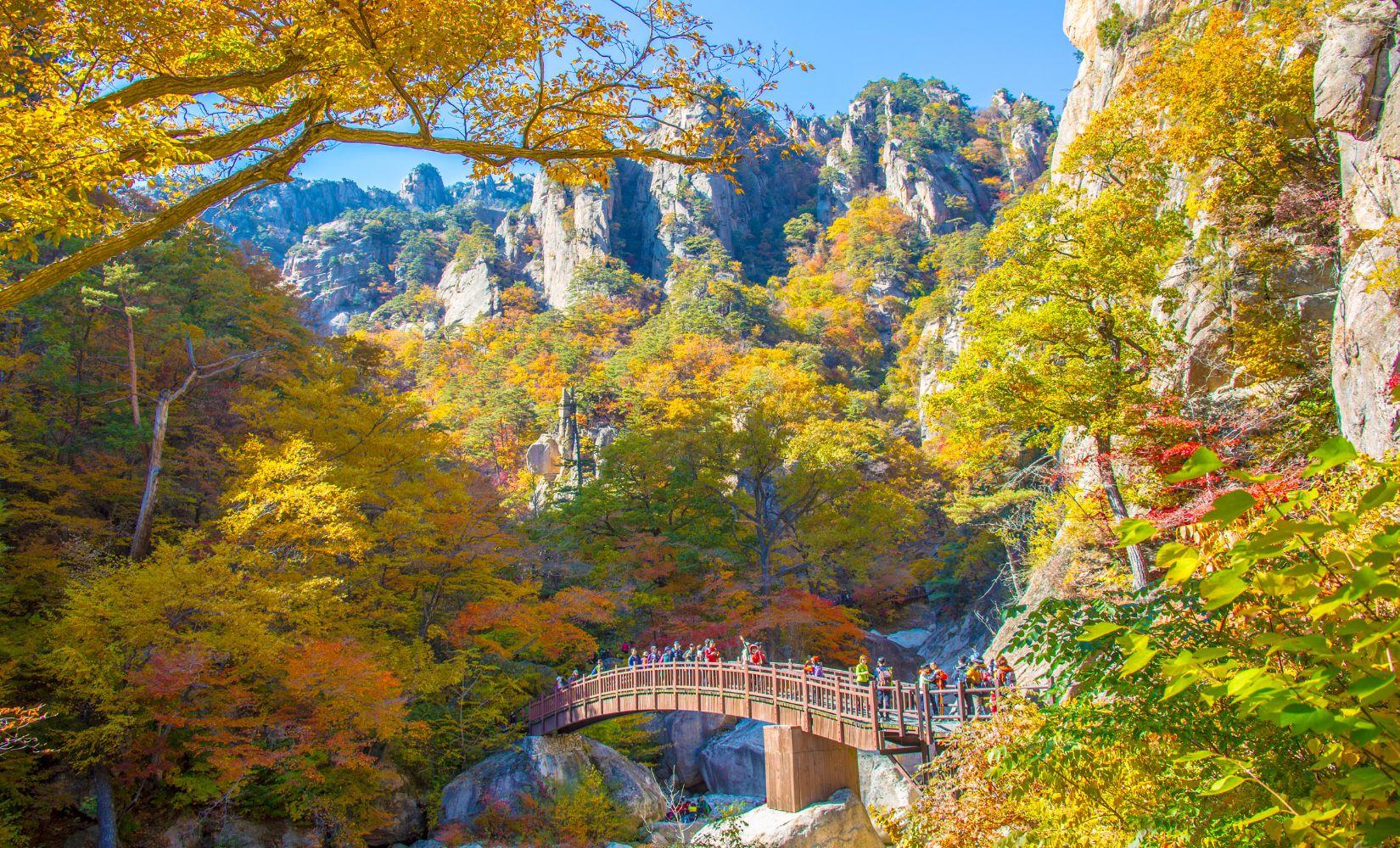 Tour 1 ngày tham quan Đảo Nami và Núi Seoraksan, Hàn Quốc 