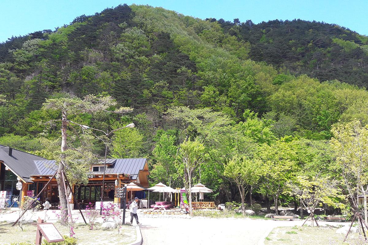 Parco Nazionale di Seorak, Corea del Sud, in una giornata soleggiata con alberi verdi