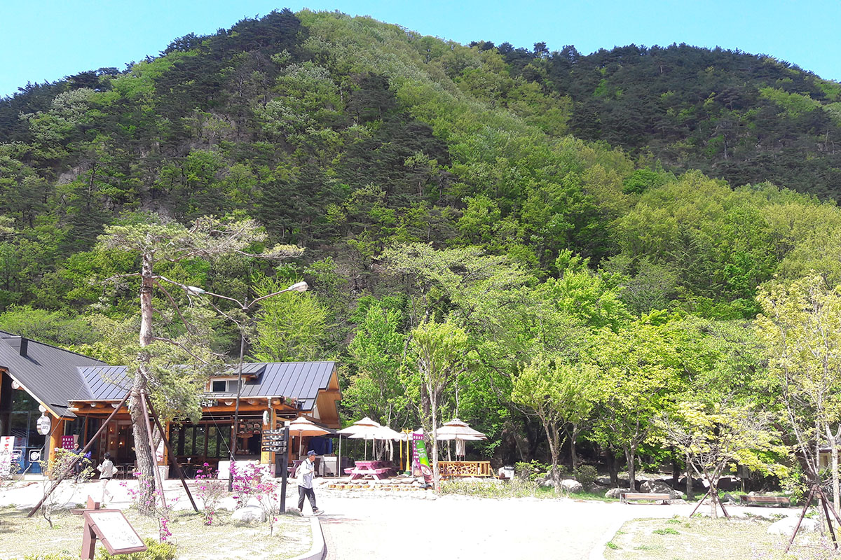韓国、韓国旅行、韓国観光、韓国地方旅行、南怡島、ナミソム、雪岳山、ソラクサン、韓国登山、ドラマロケ地