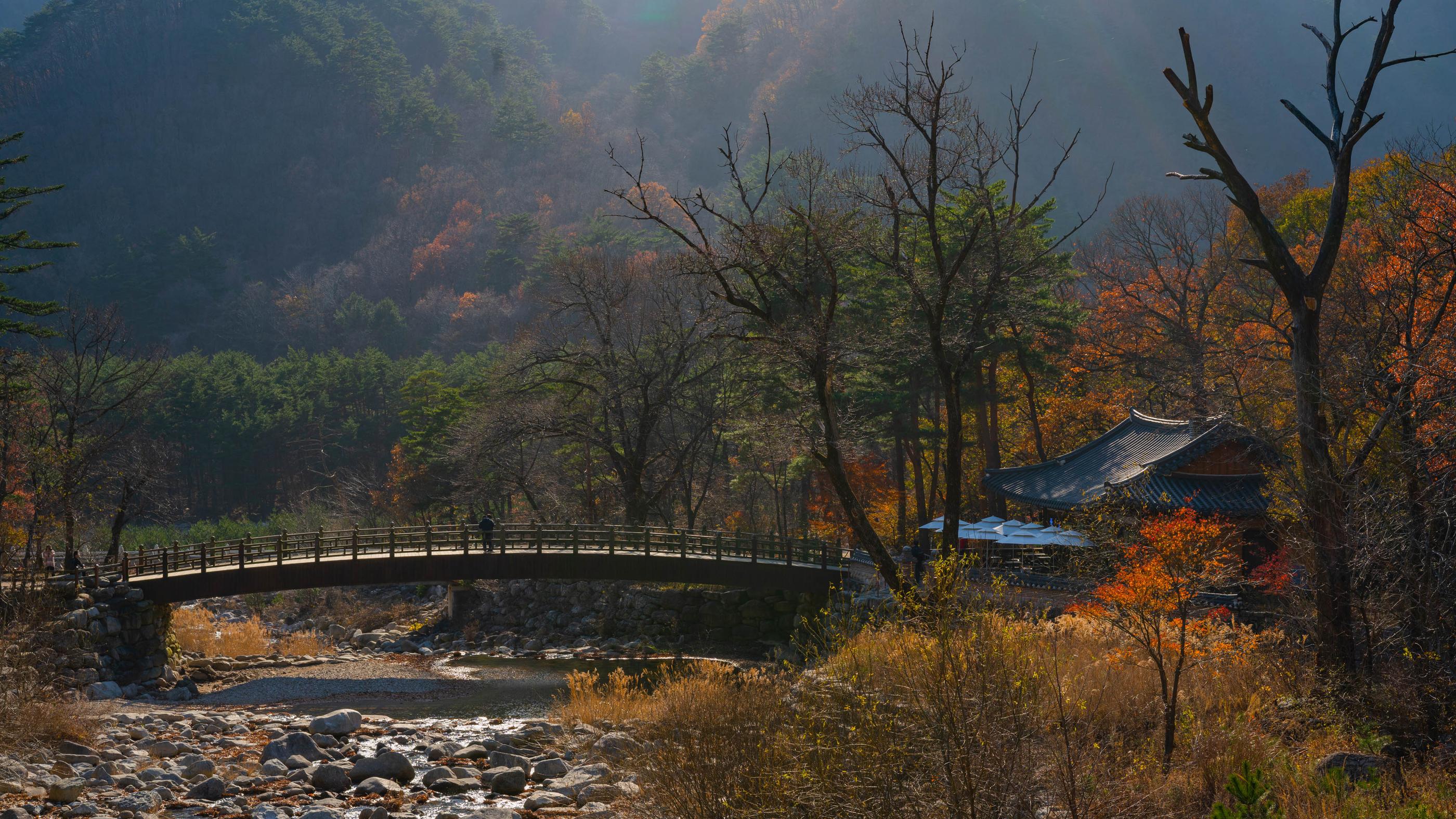 韓国地方旅行｜南怡島＋雪岳山日帰りツアー
