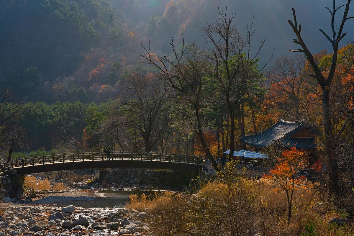 Paesaggio autunnale al Parco Nazionale di Seorak in Corea del Sud con un ponte di legno