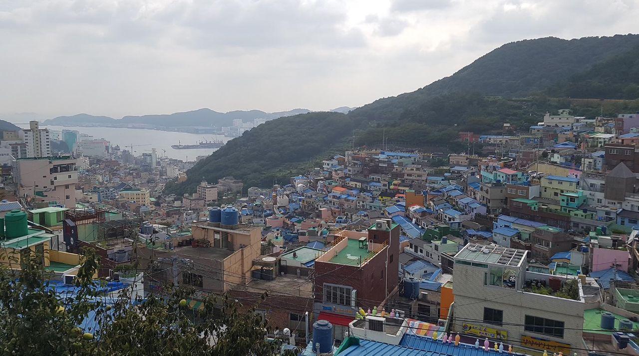 หมู่บ้านวัฒนธรรมคัมชอนในปูซาน แต่งแต้มด้วยสีสันสดใสเลียบเขาและทิวทัศน์ธรรมชาติสวยงาม