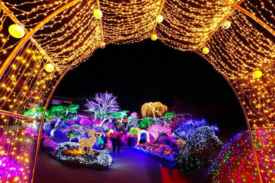 2025 2025 韓國冬季慶典 冬天慶典時間 推薦 2025首爾冬季慶典