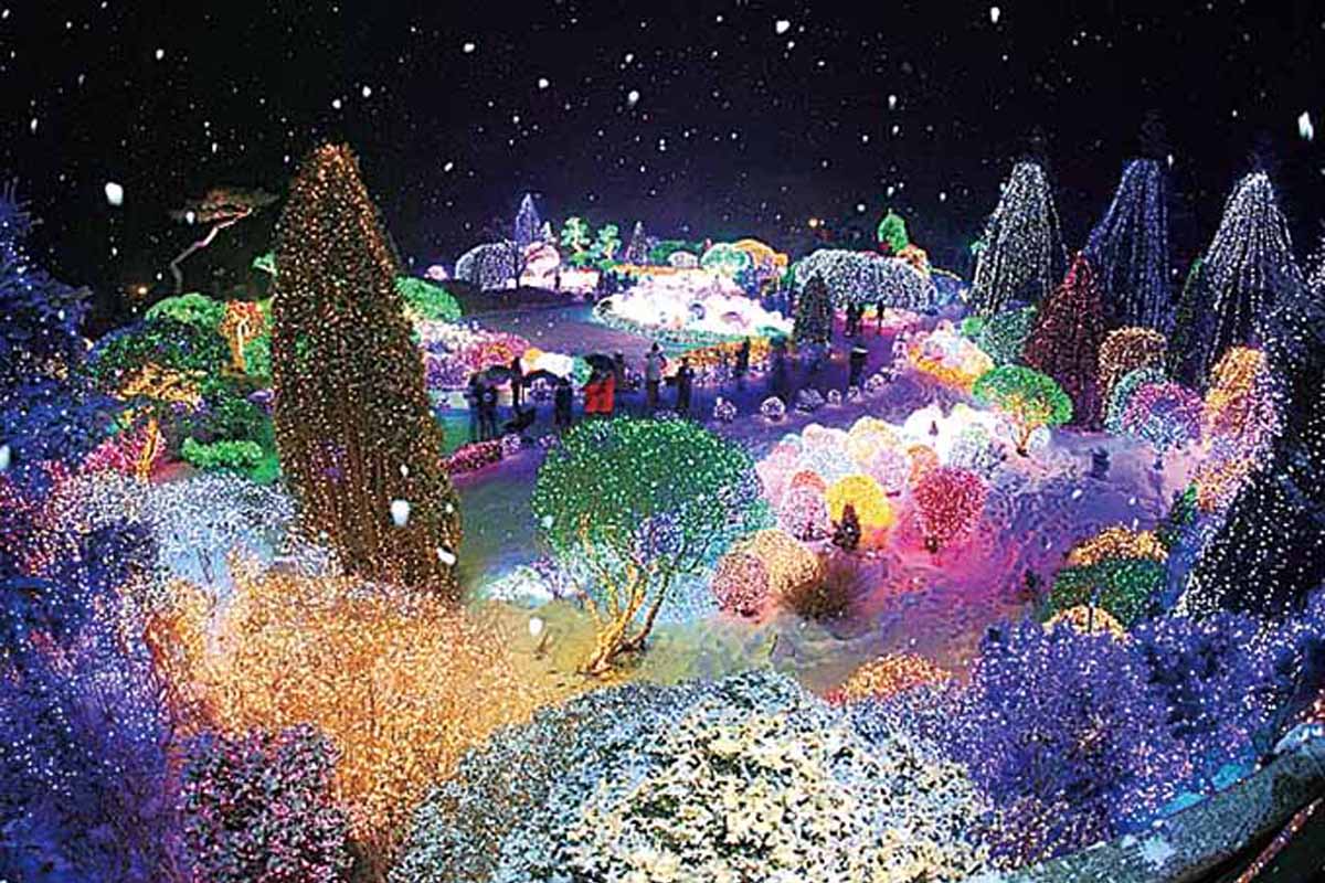 韓国、韓国旅行、韓国観光、韓国地方、韓国冬、フェスティバル、雪、まつり、ツリー、クリスマス