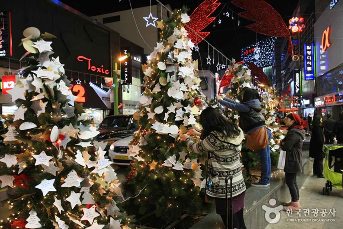 釜山のクリスマスツリー文化祭りで、通りに飾られた美しいクリスマスツリーの列。飾りでいっぱいのツリーが並んでおり、人々がその周りを歩いている様子。