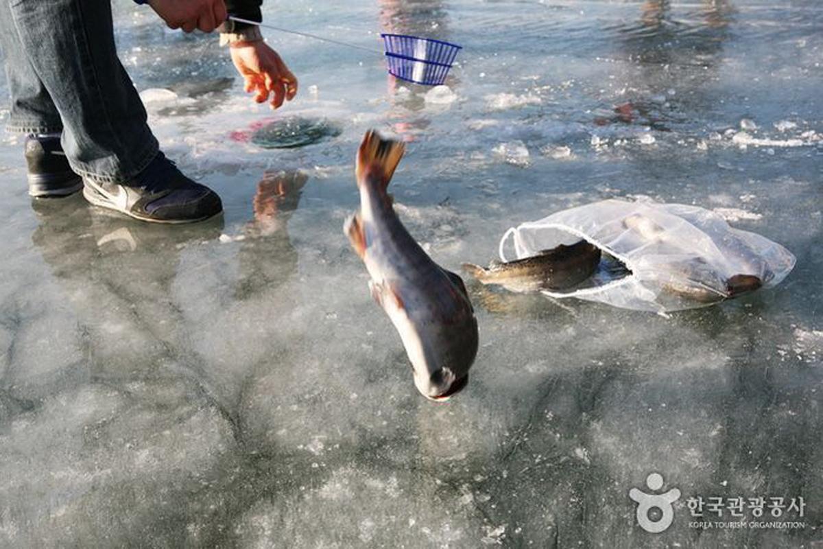 Korean Winter Festivals: Sancheoneo Ice Festival