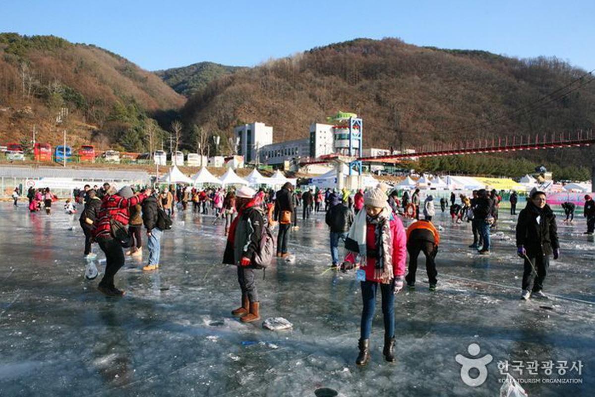 Mountain trout ice festival. Фестиваль горной форели в Корее. Mountain Trout Ice Festival Korea. Фестиваль форели в Пхёнчхане. Ice Festivals Mountain Trout Ice Festival South Korea.