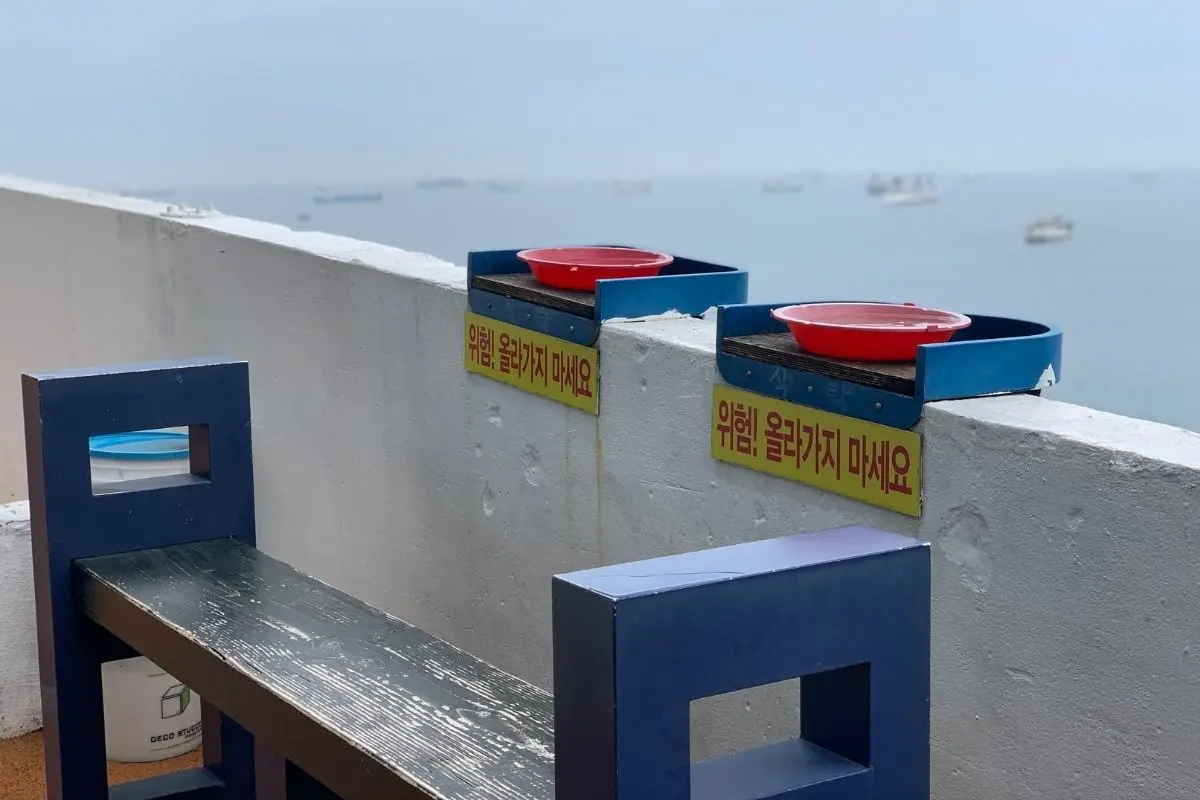 ghế ngoài trời ở Huinnyeoul Jeombbang: Tiệm mì view biển ở Làng Văn hoá Huinnyeoul, Busan