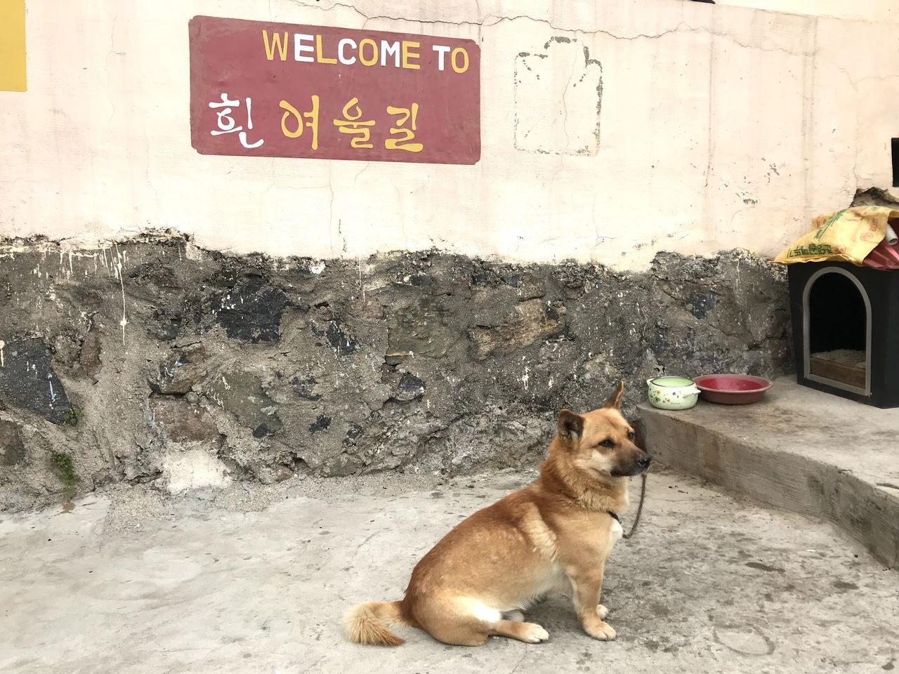 Welcome sign and dog at Huinnyeoul Culture Village