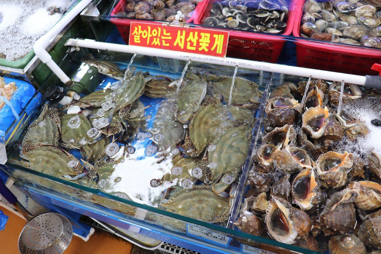 ノリャンジンフィッシュマーケットの内部で撮影された多様な魚介類。活発な海産物市場の紹介写真。