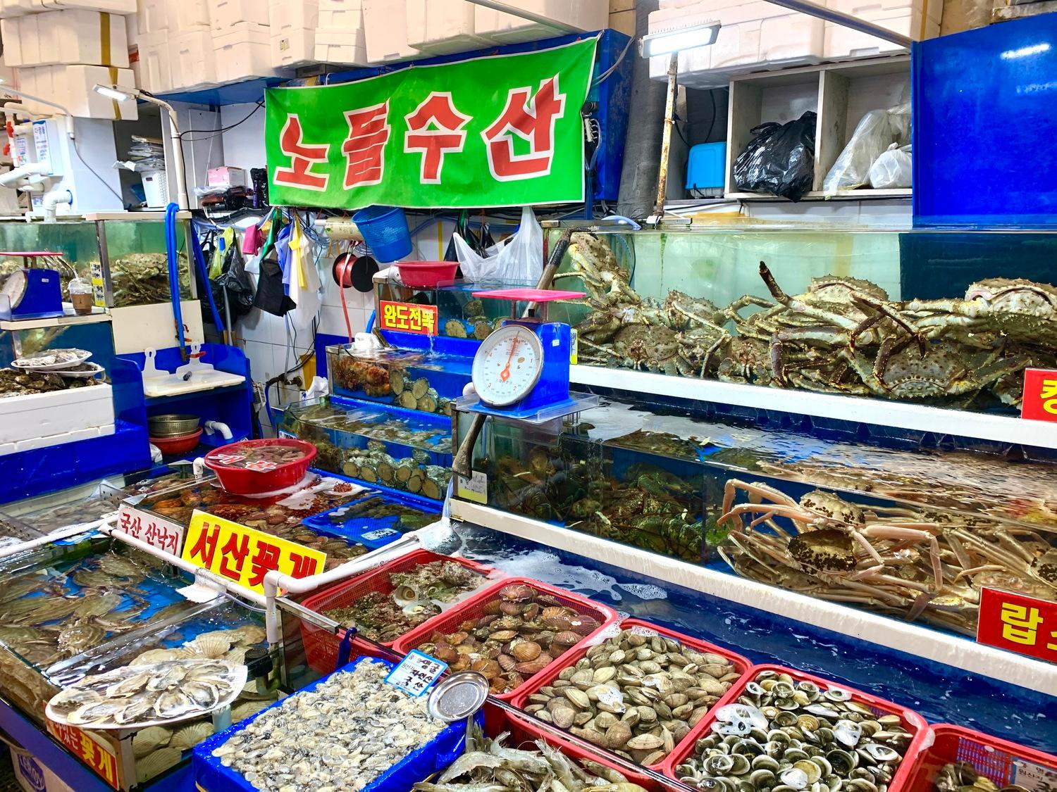 ノリャンジンフィッシュマーケットのノドゥル水産のカニの新鮮なディスプレイ。韓国ソウルの市場で人気の店舗。