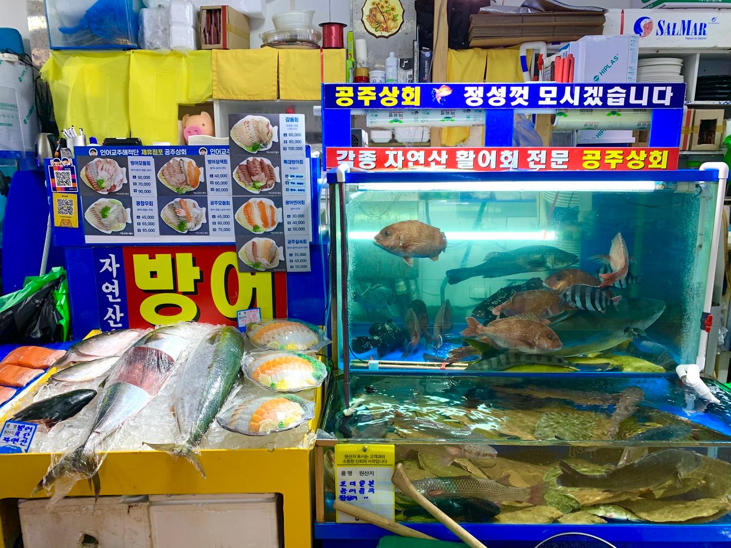 韓国ソウルのノリャンジンフィッシュマーケット内、コンジュ商会の店舗。豊富な海産物が魅力の市場。