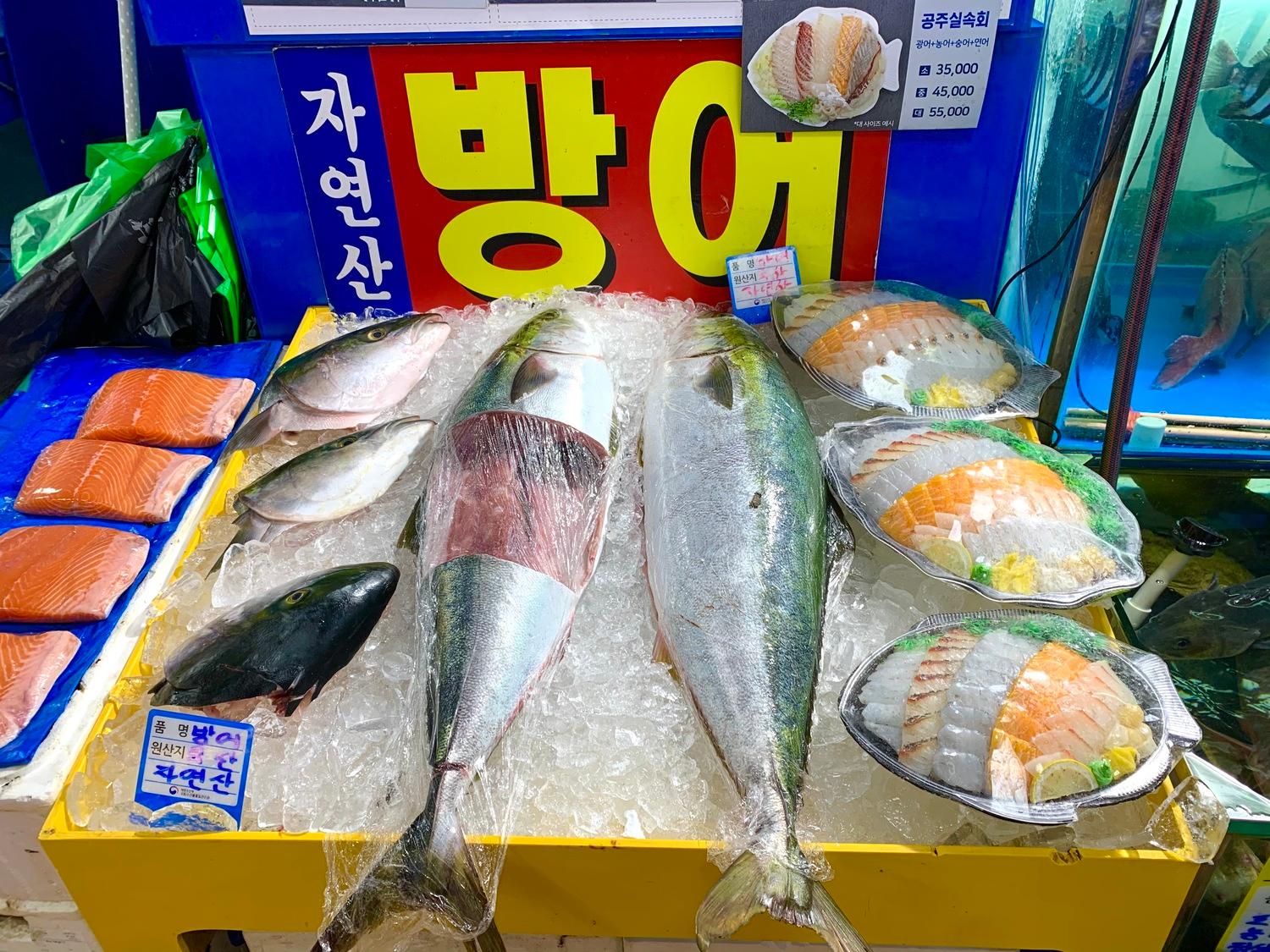ソウルのノリャンジンフィッシュマーケット内、コンジュ商会の鮮魚が並ぶ店舗。観光客に人気の市場体験。