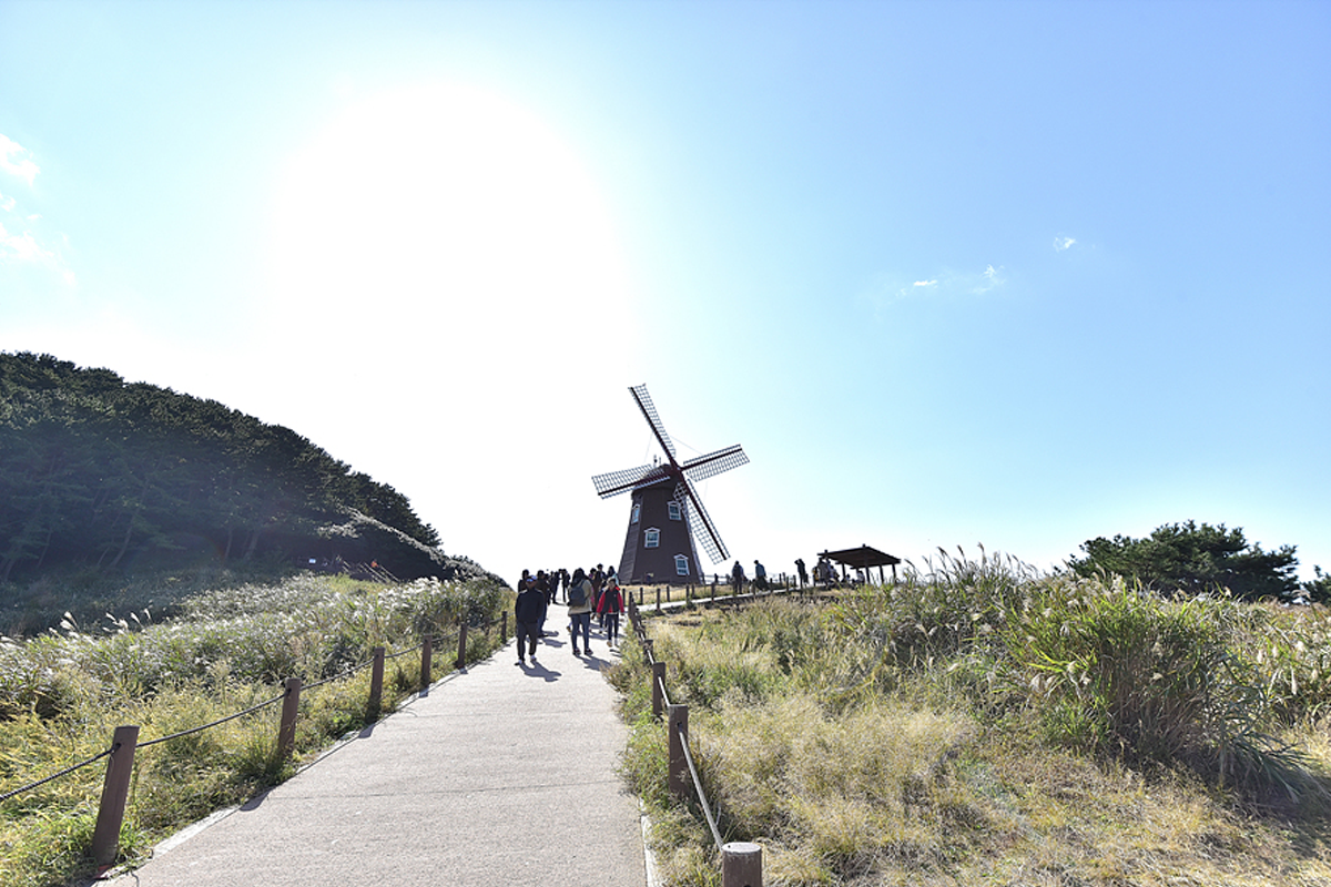 巨濟 外島 一日遊