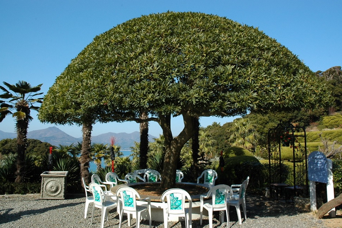 巨濟 外島 一日遊 韓國