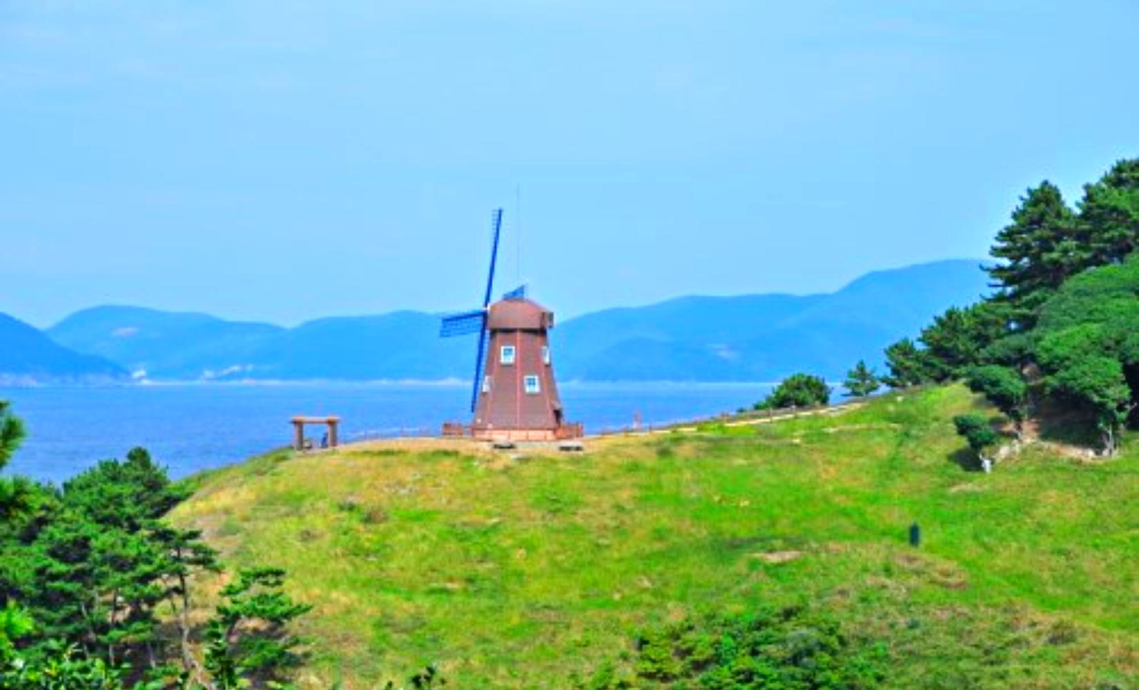 Tour 1 ngày tham quan đảo Oedo và đồi gió Windy Hill siêu đẹp ở Hàn Quốc