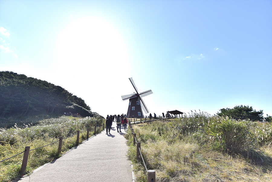 韓国、韓国文化、韓国旅行、韓国観光、外島、日帰り、1日旅行コース、巨済島、釜山、外島ボタニア、海上公園