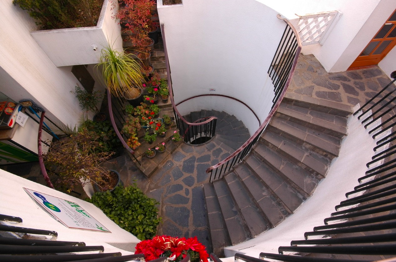 꽃과 식물로 장식된 나선형 계단, 베트남어로 된 플라크 설명