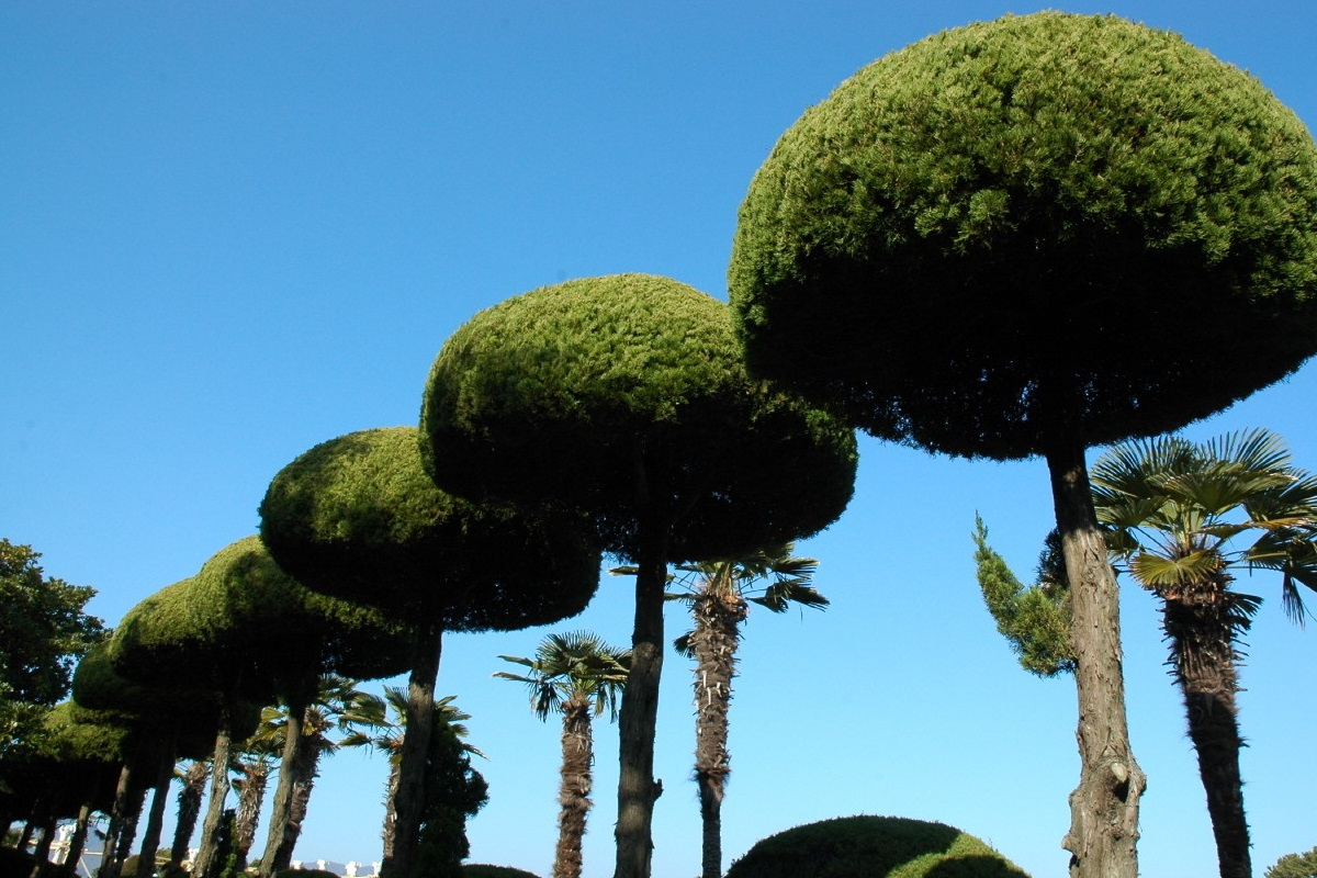 巨濟 外島 一日遊