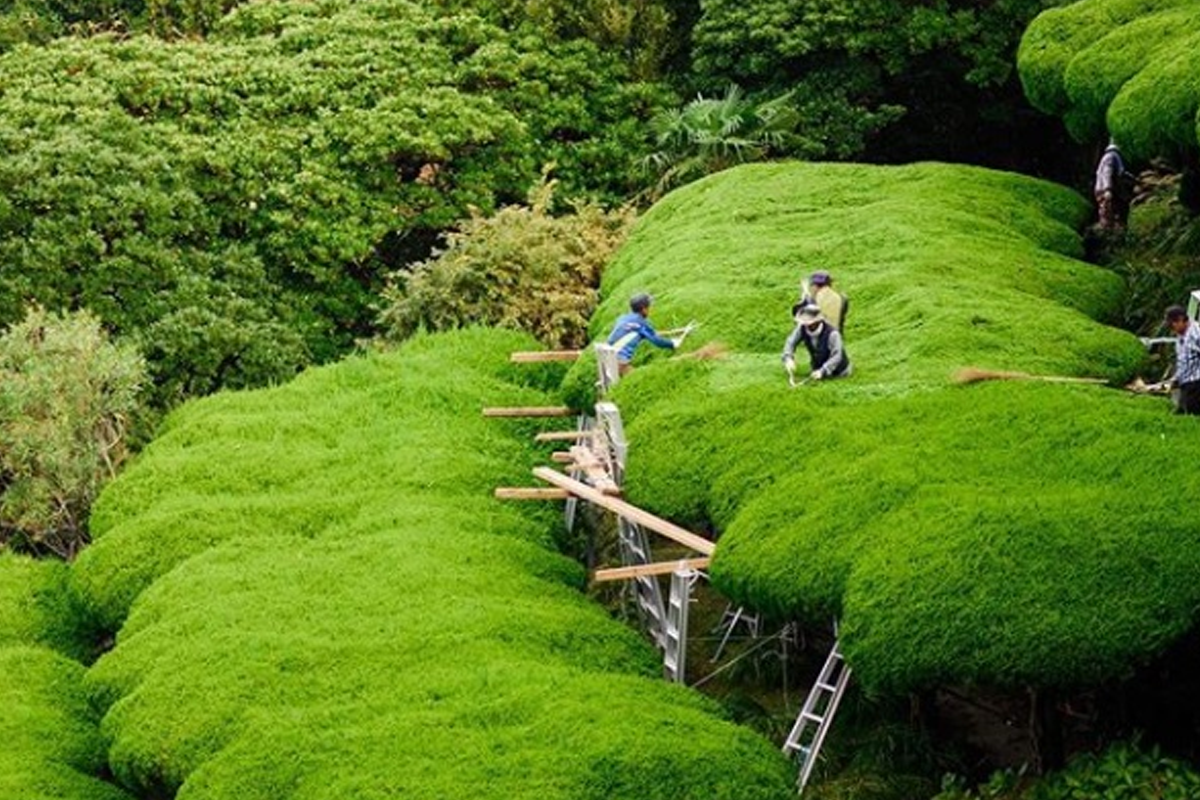 巨濟 外島 一日遊