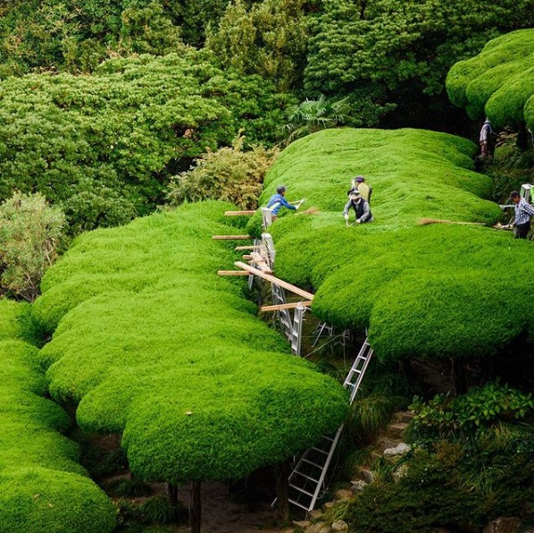 韓国、韓国文化、韓国旅行、韓国観光、外島、日帰り、1日旅行コース、巨済島、釜山、外島ボタニア、海上公園