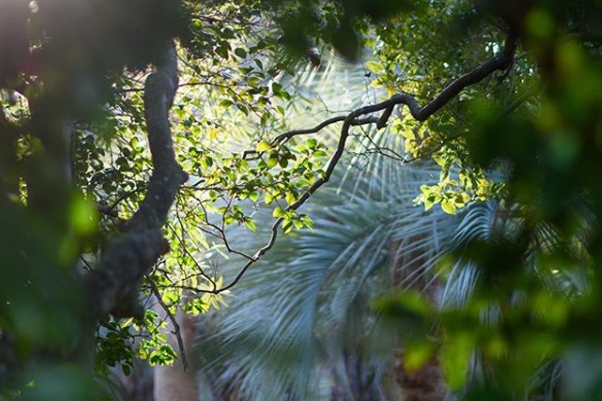 巨濟 外島 一日遊