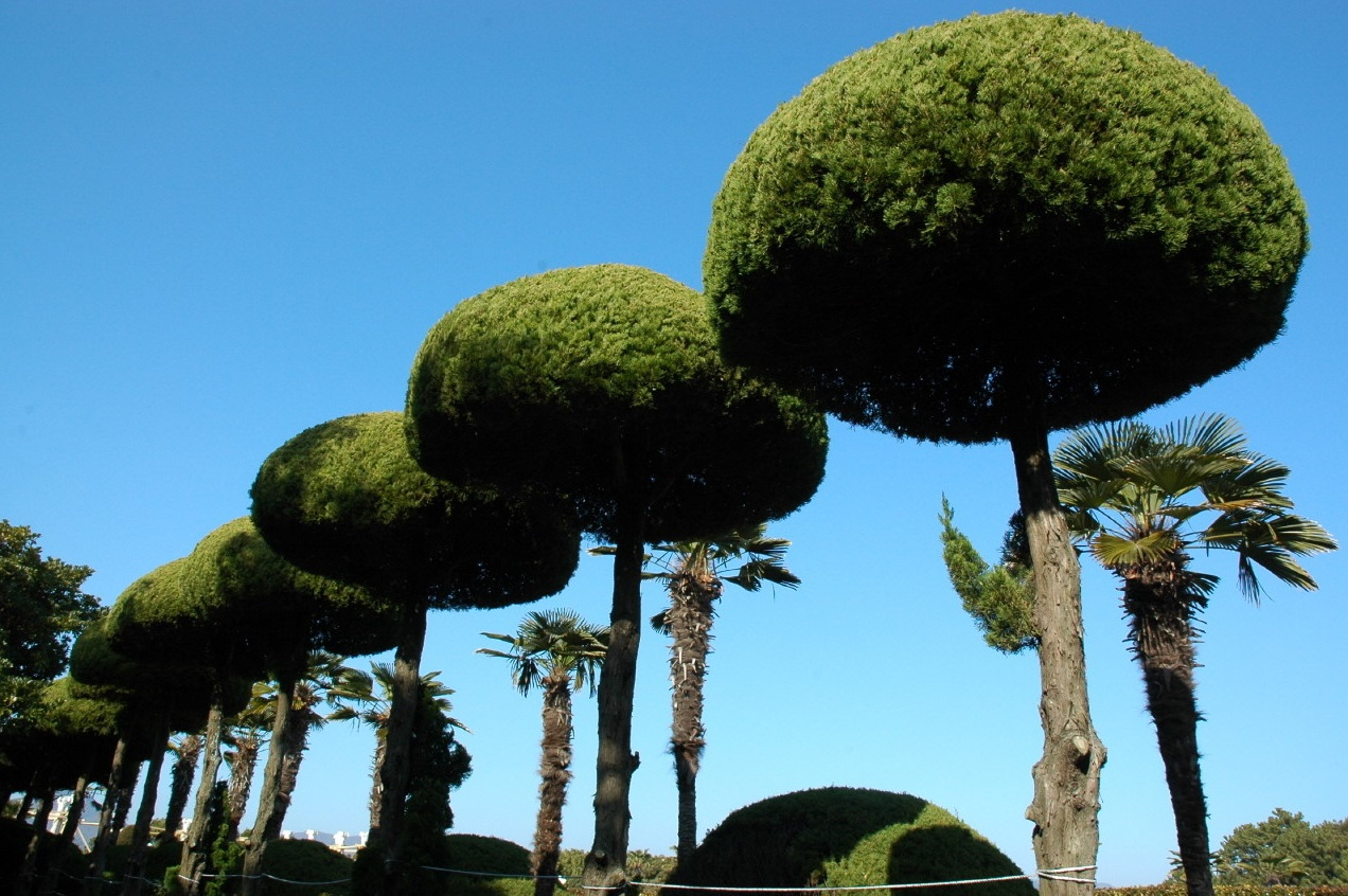 韓国、韓国文化、韓国旅行、韓国観光、外島、日帰り、1日旅行コース、巨済島、釜山、外島ボタニア、海上公園