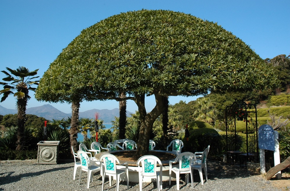 韓国、韓国文化、韓国旅行、韓国観光、外島、日帰り、1日旅行コース、巨済島、釜山、外島ボタニア、海上公園