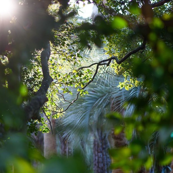 韓国、韓国文化、韓国旅行、韓国観光、外島、日帰り、1日旅行コース、巨済島、釜山、外島ボタニア、海上公園