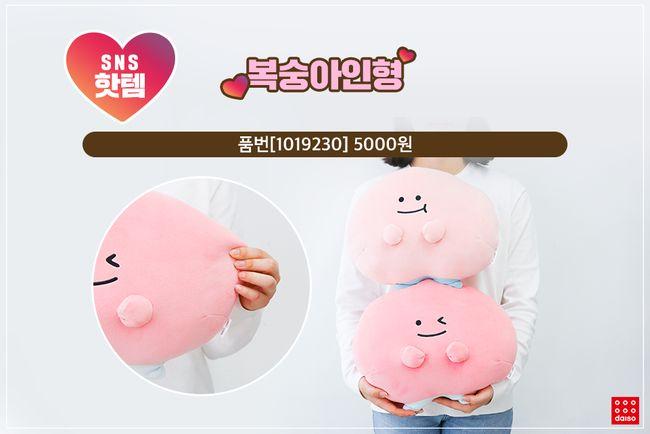 DAISO Hot Items on SNS Ranking! Must buy items which are practical and cute!