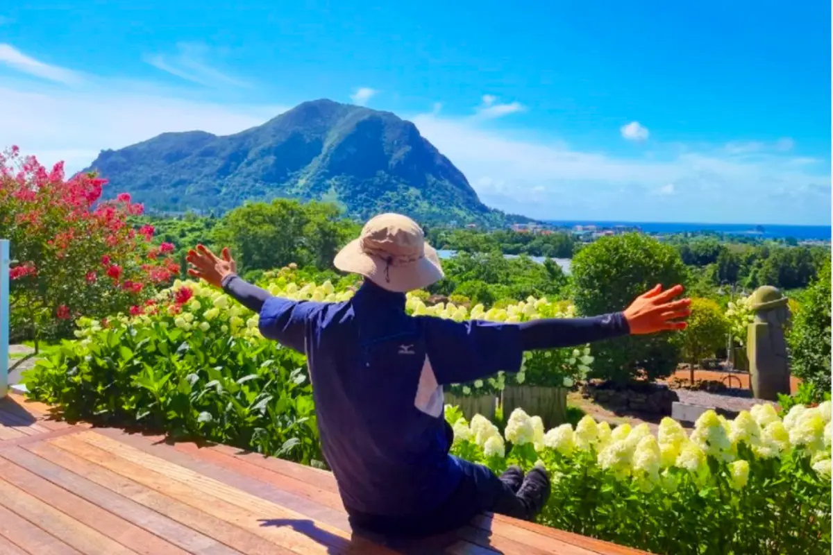 寧靜的Manor Blanc散步道全景，呈現繡球花盛開的景象，背景中隱約可見山景。