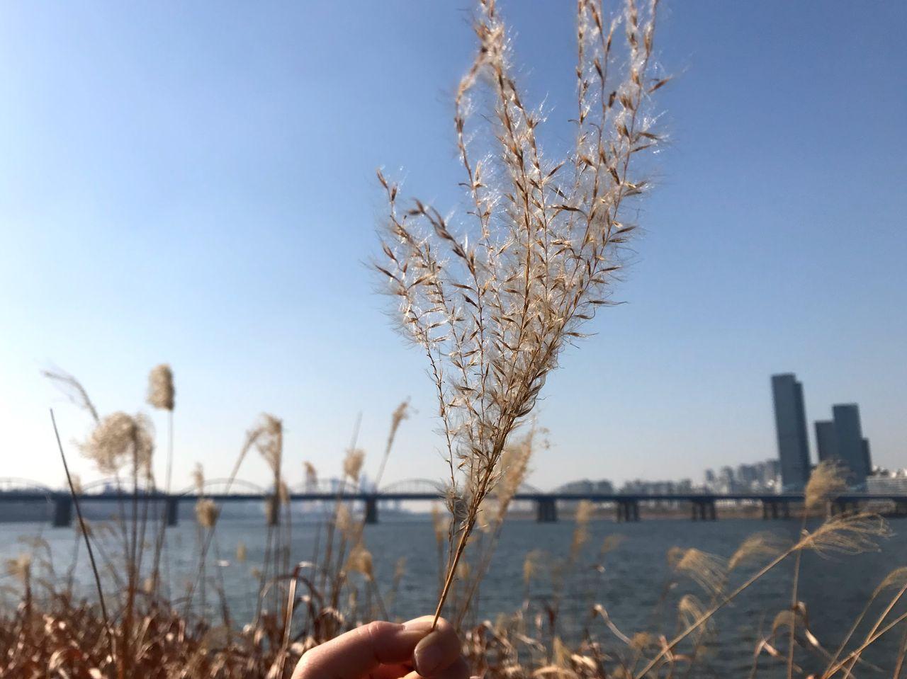 10 must-see attractions in Seoul