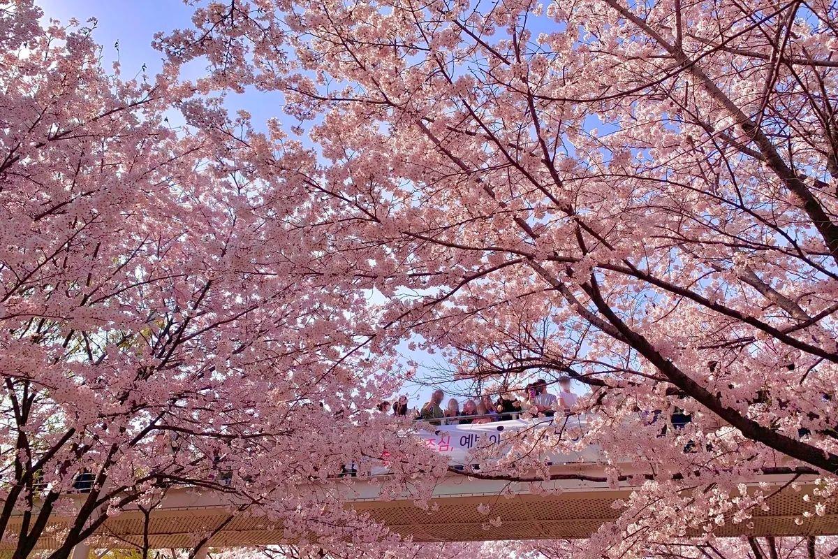 Seoul Forest, Các địa điểm du lịch nổi tiếng ở Seoul