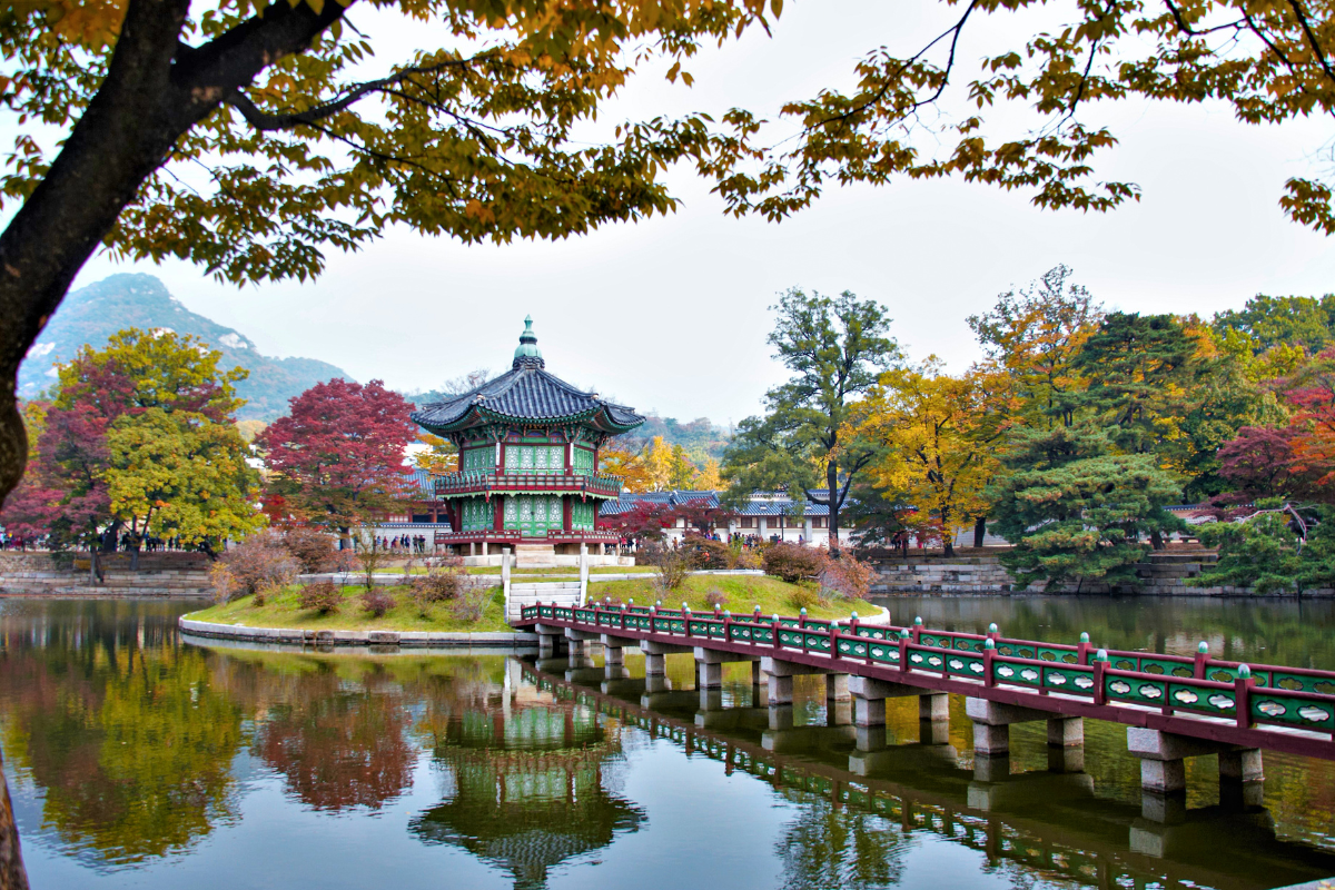 Гёнбококонгийн Хянвонжон, байгалийн шинжлэх үзэмж